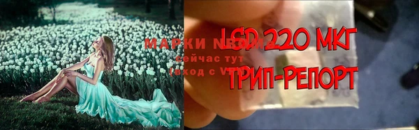 амф Михайловск