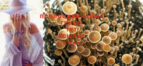гашишное масло Михайловка