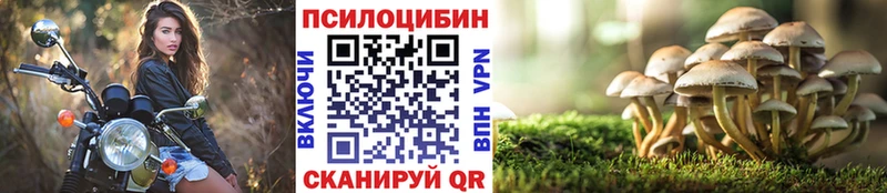 Псилоцибиновые грибы ЛСД  Южа 